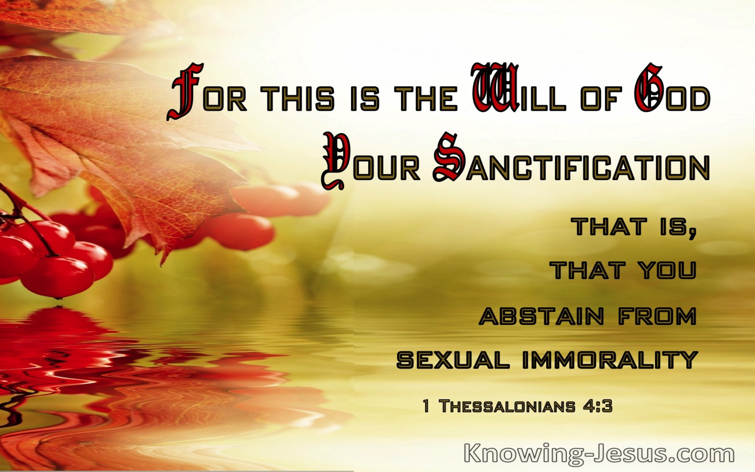 1 Thessalonians 4:3 The Will Of God Is Your Sanctification (sage)